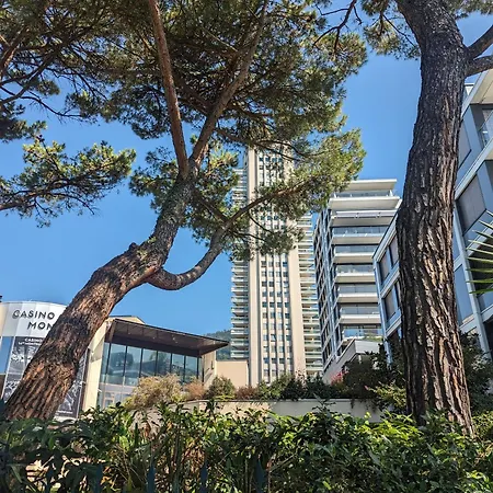 Centre Vue Leman Montreux