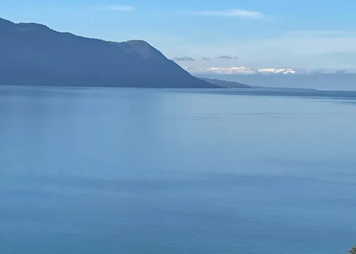 Centre Vue Leman 아파트 *