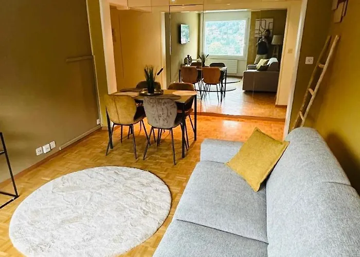 Centre Vue Leman * Montreux