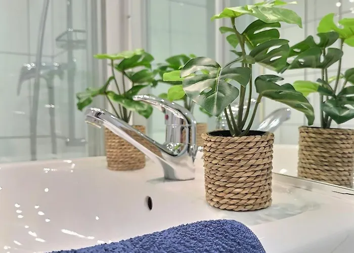 Apartament Centre Vue Leman *