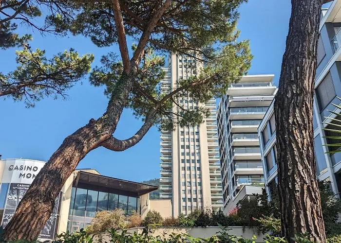 Centre Vue Leman Montreux