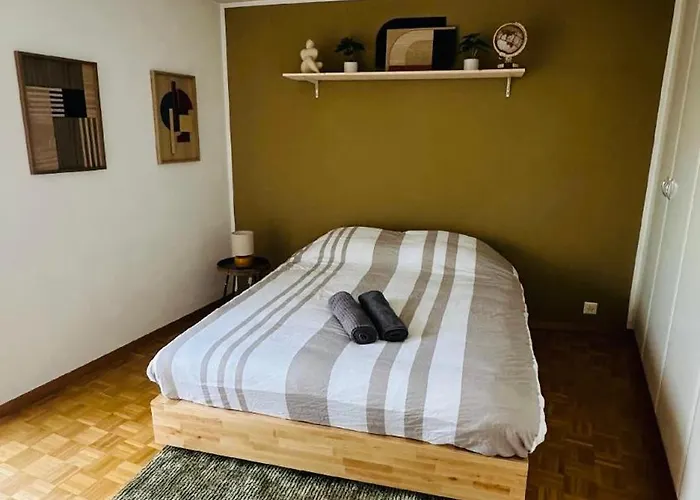 Centre Vue Leman * Монтрё